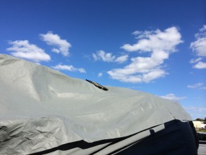 IMG_2558